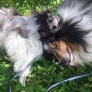 ヒメ日記 2025/02/14 03:37 投稿 あさひ SOAPLAND LOVE FACTORY