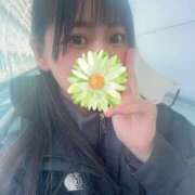 ヒメ日記 2025/02/14 09:46 投稿 あさひ SOAPLAND LOVE FACTORY