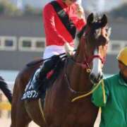 ヒメ日記 2025/02/16 23:45 投稿 あさひ SOAPLAND LOVE FACTORY