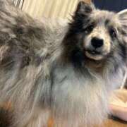 ヒメ日記 2025/02/23 07:52 投稿 あさひ SOAPLAND LOVE FACTORY