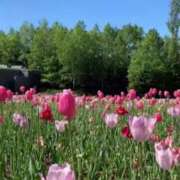 ヒメ日記 2025/02/23 13:22 投稿 あさひ SOAPLAND LOVE FACTORY