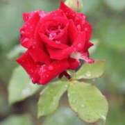 ヒメ日記 2025/02/27 06:42 投稿 あさひ SOAPLAND LOVE FACTORY