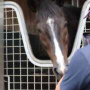 ヒメ日記 2025/02/28 14:17 投稿 あさひ SOAPLAND LOVE FACTORY