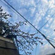 ヒメ日記 2025/03/03 10:48 投稿 あさひ SOAPLAND LOVE FACTORY