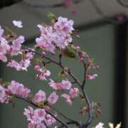 ヒメ日記 2025/03/03 14:32 投稿 あさひ SOAPLAND LOVE FACTORY