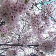 ヒメ日記 2025/03/04 09:22 投稿 あさひ SOAPLAND LOVE FACTORY