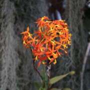 ヒメ日記 2025/03/04 17:22 投稿 あさひ SOAPLAND LOVE FACTORY