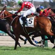 ヒメ日記 2025/03/05 02:32 投稿 あさひ SOAPLAND LOVE FACTORY