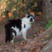 ヒメ日記 2025/03/05 06:12 投稿 あさひ SOAPLAND LOVE FACTORY