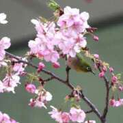 ヒメ日記 2025/03/05 23:12 投稿 あさひ SOAPLAND LOVE FACTORY