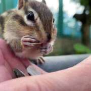 ヒメ日記 2025/03/10 02:22 投稿 あさひ SOAPLAND LOVE FACTORY