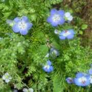 ヒメ日記 2025/03/12 07:32 投稿 あさひ SOAPLAND LOVE FACTORY