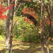 ヒメ日記 2025/03/12 12:20 投稿 あさひ SOAPLAND LOVE FACTORY