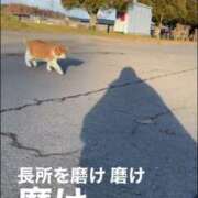 ヒメ日記 2025/03/15 04:02 投稿 あさひ SOAPLAND LOVE FACTORY