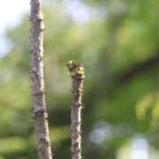 ヒメ日記 2025/03/18 22:58 投稿 あさひ SOAPLAND LOVE FACTORY