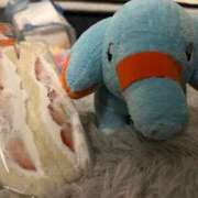 ヒメ日記 2025/03/19 00:58 投稿 あさひ SOAPLAND LOVE FACTORY