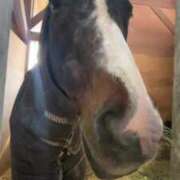 ヒメ日記 2025/03/19 18:22 投稿 あさひ SOAPLAND LOVE FACTORY