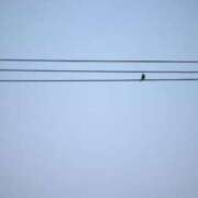 ヒメ日記 2025/03/19 22:14 投稿 あさひ SOAPLAND LOVE FACTORY