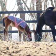 ヒメ日記 2025/03/20 06:12 投稿 あさひ SOAPLAND LOVE FACTORY