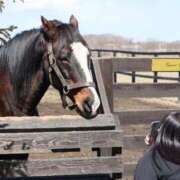 ヒメ日記 2025/03/20 15:52 投稿 あさひ SOAPLAND LOVE FACTORY