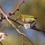 ヒメ日記 2025/03/20 18:52 投稿 あさひ SOAPLAND LOVE FACTORY