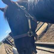 ヒメ日記 2025/03/21 10:45 投稿 あさひ SOAPLAND LOVE FACTORY