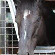 ヒメ日記 2025/03/22 19:22 投稿 あさひ SOAPLAND LOVE FACTORY