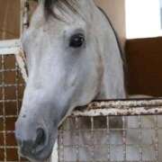 ヒメ日記 2025/04/02 08:45 投稿 あさひ SOAPLAND LOVE FACTORY