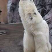 ヒメ日記 2025/04/03 15:02 投稿 あさひ SOAPLAND LOVE FACTORY