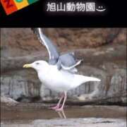 ヒメ日記 2025/04/03 22:22 投稿 あさひ SOAPLAND LOVE FACTORY