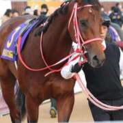 ヒメ日記 2025/04/06 00:12 投稿 あさひ SOAPLAND LOVE FACTORY