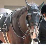 ヒメ日記 2025/04/08 00:42 投稿 あさひ SOAPLAND LOVE FACTORY