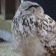 ヒメ日記 2025/04/11 07:48 投稿 あさひ SOAPLAND LOVE FACTORY