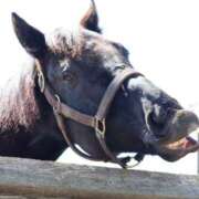 ヒメ日記 2025/04/12 09:03 投稿 あさひ SOAPLAND LOVE FACTORY