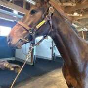 ヒメ日記 2025/04/13 07:02 投稿 あさひ SOAPLAND LOVE FACTORY