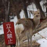 ヒメ日記 2025/04/13 08:20 投稿 あさひ SOAPLAND LOVE FACTORY