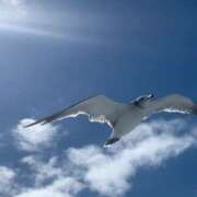 ヒメ日記 2025/04/15 11:29 投稿 あさひ SOAPLAND LOVE FACTORY