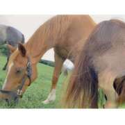 ヒメ日記 2025/04/16 11:11 投稿 あさひ SOAPLAND LOVE FACTORY