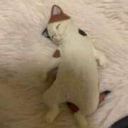 ヒメ日記 2025/04/16 12:03 投稿 あさひ SOAPLAND LOVE FACTORY