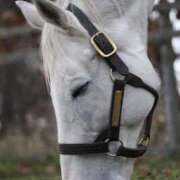 ヒメ日記 2025/04/16 12:42 投稿 あさひ SOAPLAND LOVE FACTORY