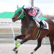 ヒメ日記 2025/04/16 23:37 投稿 あさひ SOAPLAND LOVE FACTORY