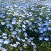 ヒメ日記 2025/04/18 17:22 投稿 あさひ SOAPLAND LOVE FACTORY