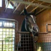 ヒメ日記 2025/04/18 23:17 投稿 あさひ SOAPLAND LOVE FACTORY