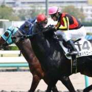 ヒメ日記 2025/04/20 05:52 投稿 あさひ SOAPLAND LOVE FACTORY