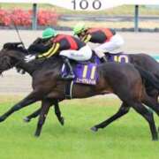 ヒメ日記 2025/04/21 21:52 投稿 あさひ SOAPLAND LOVE FACTORY