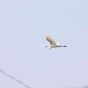 ヒメ日記 2025/04/21 22:12 投稿 あさひ SOAPLAND LOVE FACTORY