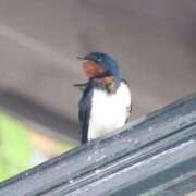 ヒメ日記 2025/04/21 22:30 投稿 あさひ SOAPLAND LOVE FACTORY