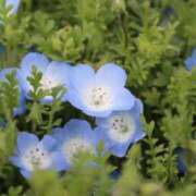 ヒメ日記 2025/04/22 23:26 投稿 あさひ SOAPLAND LOVE FACTORY