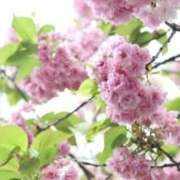 ヒメ日記 2025/04/22 23:46 投稿 あさひ SOAPLAND LOVE FACTORY