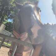 ヒメ日記 2025/04/23 00:54 投稿 あさひ SOAPLAND LOVE FACTORY